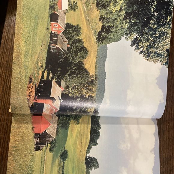 BACK TO BASICS Readers Digest Survival Homesteading Traditional Skills 1989 - Picture 9 of 10